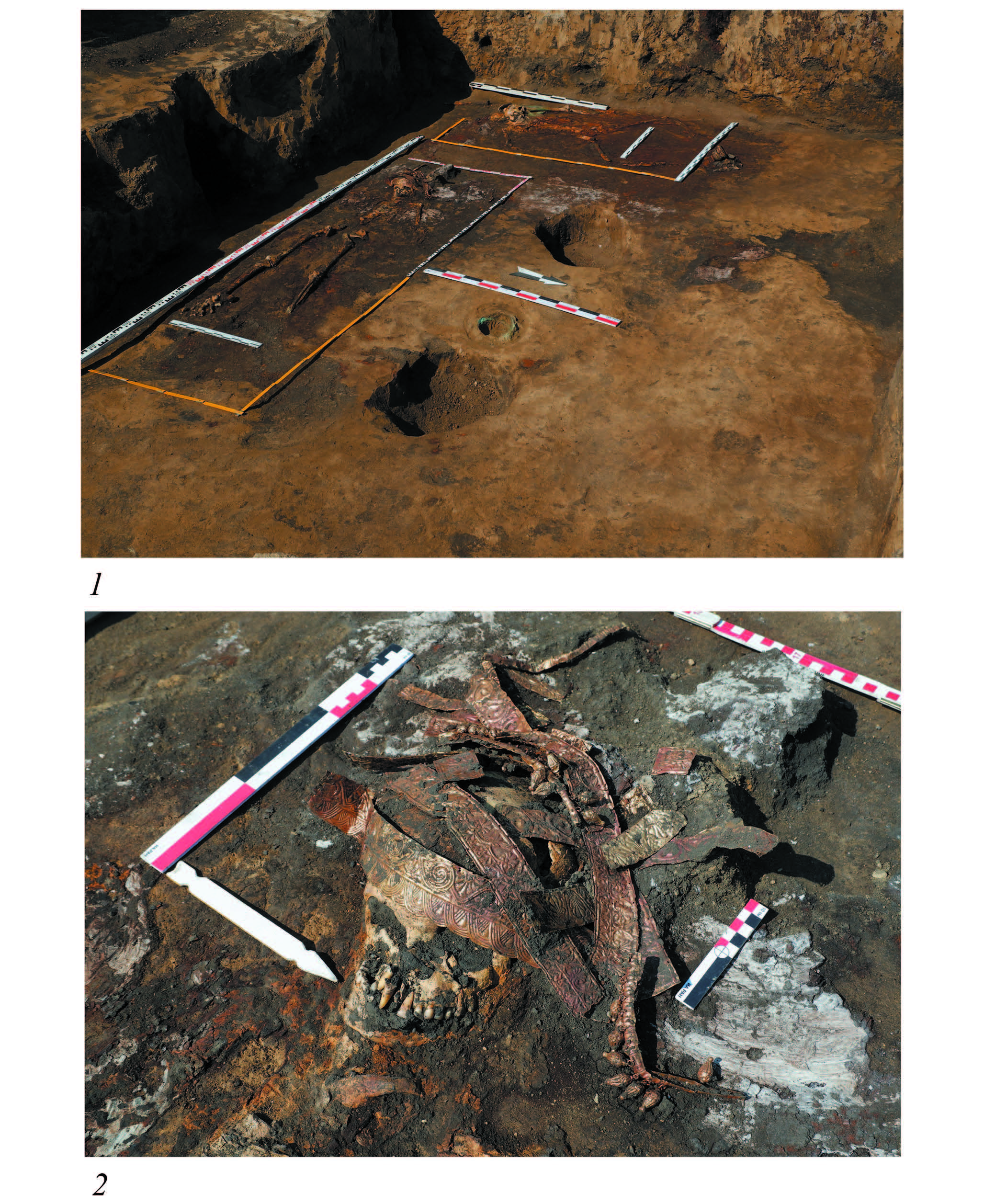Elite Scythian mound excavation showing female burials with golden kalathos headdress and weapons